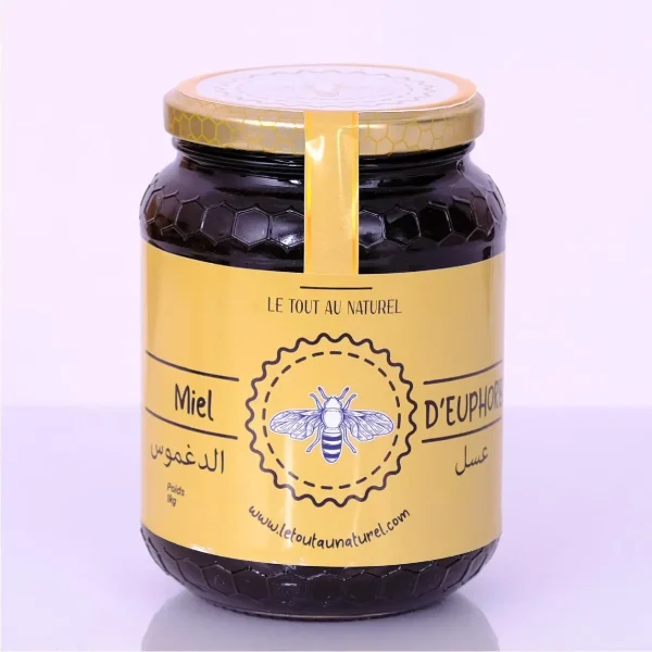 Meilleur-miel-euphorbe-daghmous-Maroc-1Kg